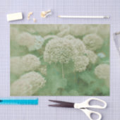 Hydrangeas Floral Green White getextureerd  Tissuepapier (Craft)