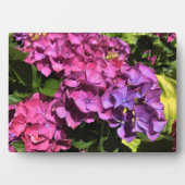 Hydrangeas Fotoplaat (voorkant)