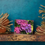 Hydrangeas Fotoplaat (Zijkant)