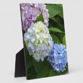 Hydrangeas Fotoplaat (Zijkant)