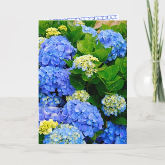 Hydrangeas Friendship Kaart (Voorkant)