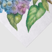 Hydrangeas in bloei tissuepapier (Detail)