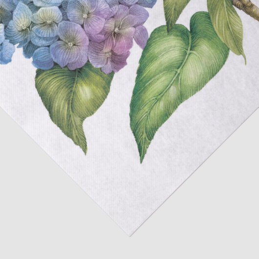 Hydrangeas in bloei tissuepapier (Detail)