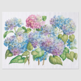 Hydrangeas in bloei tissuepapier