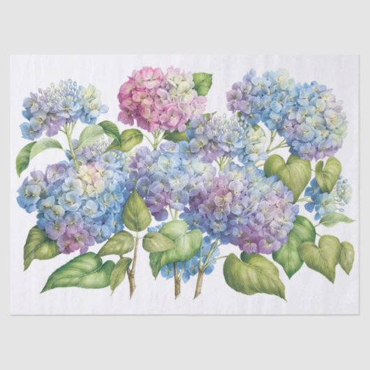 Hydrangeas in bloei tissuepapier (Voorkant)