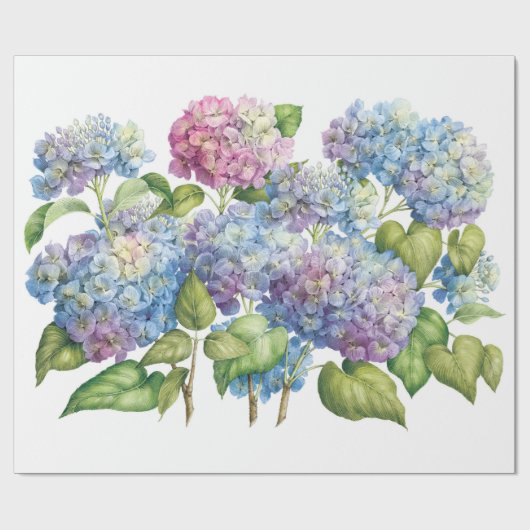 Hydrangeas in Bloom Cadeaupapier (Vlak)