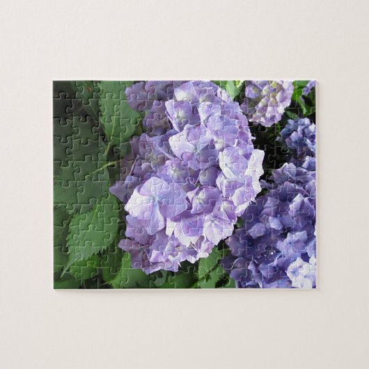 Hydrangeas in de Trebah Gardens, Cornwall Legpuzzel (Horizontaal)