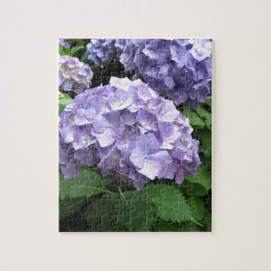Hydrangeas in de Trebah Gardens, Cornwall Legpuzzel