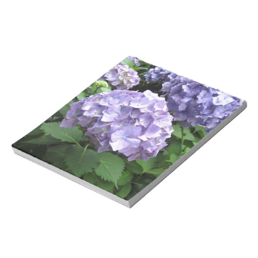 Hydrangeas in de Trebah Gardens, Cornwall Notitieblok (Linkerzijde)