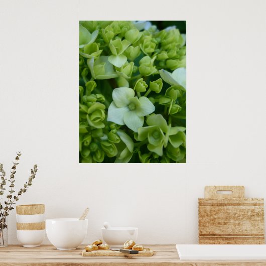 Hydrangeas in groen poster (Keuken)