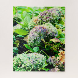 Hydrangeas in Noord-Ierland Legpuzzel