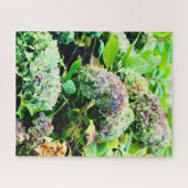 Hydrangeas in Noord-Ierland Legpuzzel (Horizontaal)