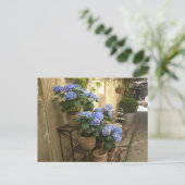 Hydrangeas in potten briefkaart (Staand voorkant)