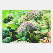 Hydrangeas-inpakpapier Inpakpapier Vel (Voorkant)