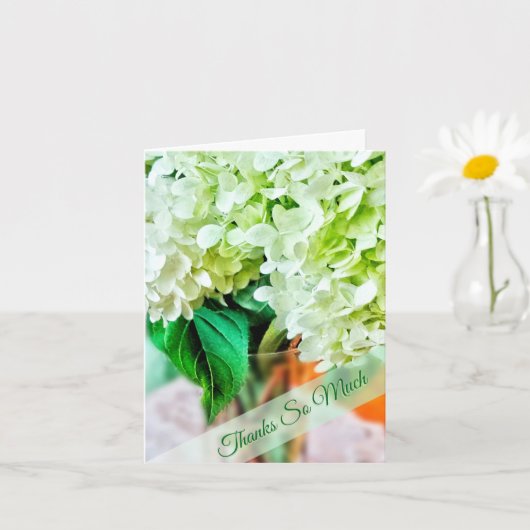 Hydrangeas—Lime Green Flowers Thank You Kaart (Kleine Plant)