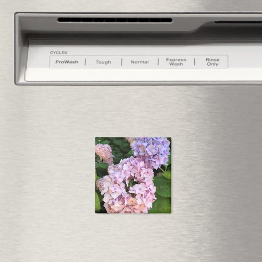 Hydrangeas Magneet (Insitu (Vaatwasser))