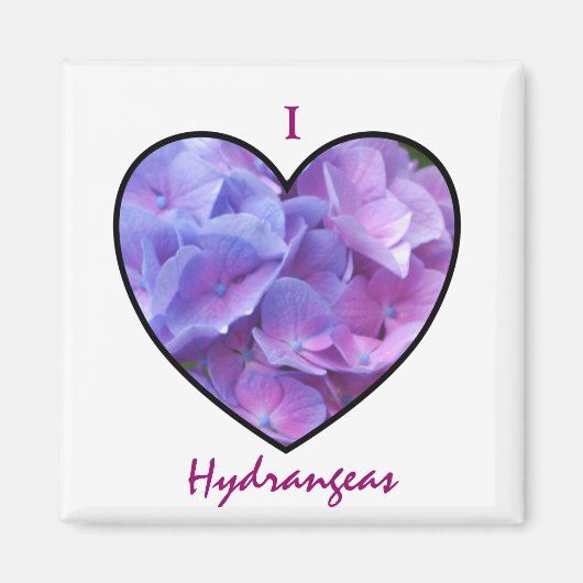 Hydrangeas magneet (Voorkant)