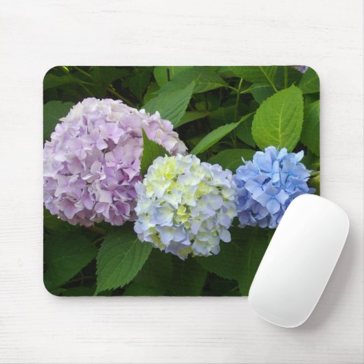 Hydrangeas Muismat (Met muis)