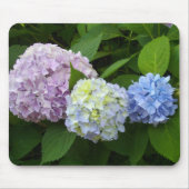 Hydrangeas Muismat (Voorkant)