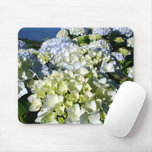 Hydrangeas Muismat (Met muis)