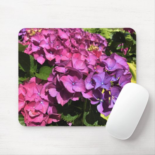Hydrangeas Muismat (Met muis)