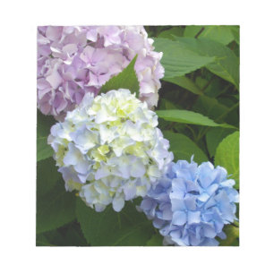Hydrangeas Notitieblok