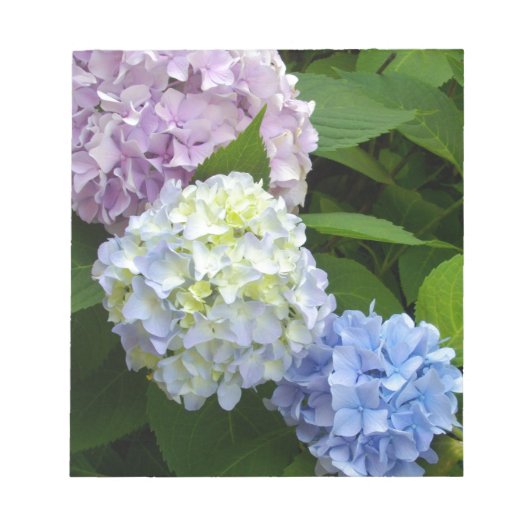 Hydrangeas Notitieblok (Voorkant)