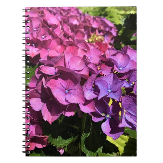 Hydrangeas Notitieboek (Voorkant)
