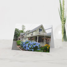 Hydrangeas op de binnenplaats van Martha
