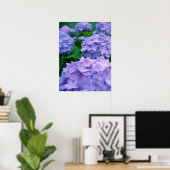 Hydrangeas {Paars} | POSTER (Thuiskantoor)