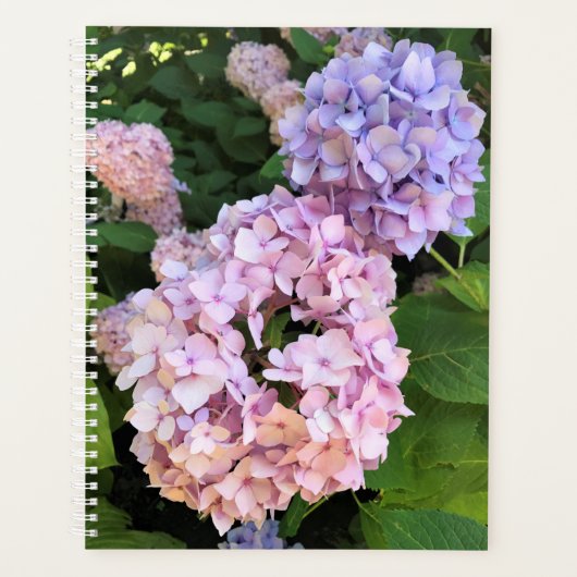 Hydrangeas Planner (Voorkant)