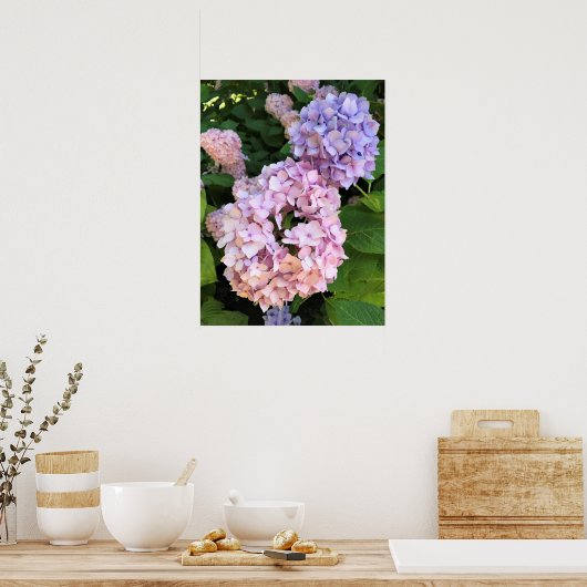 Hydrangeas Poster (Keuken)