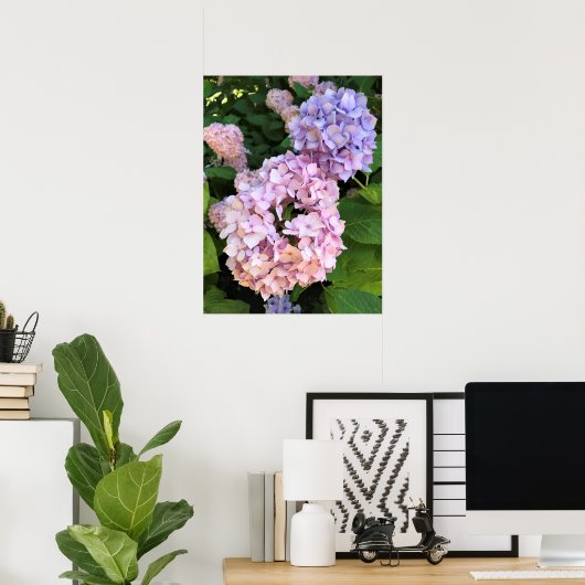 Hydrangeas Poster (Thuiskantoor)