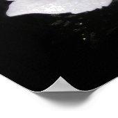 Hydrangeas Poster (Hoek)