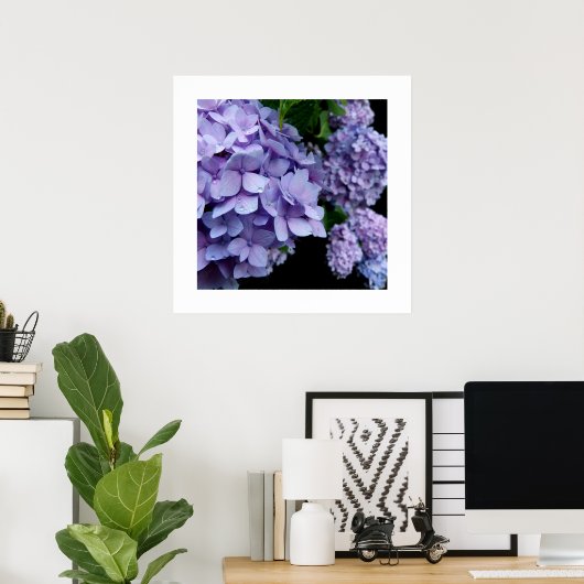 Hydrangeas Poster (Thuiskantoor)