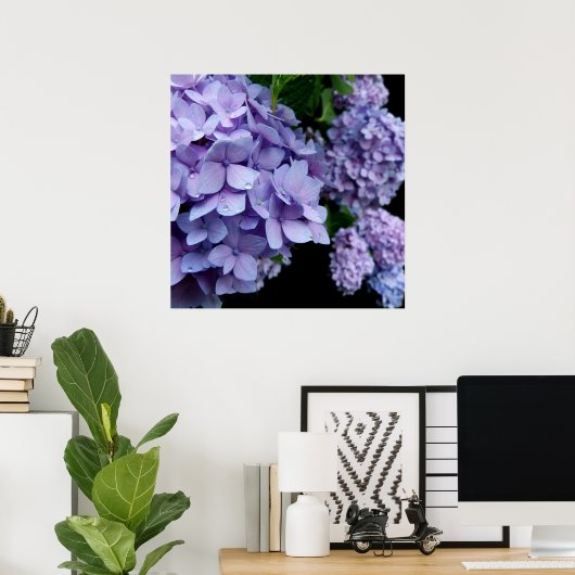Hydrangeas Poster (Thuiskantoor)