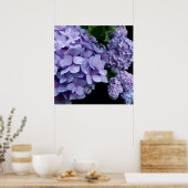 Hydrangeas Poster (Keuken)