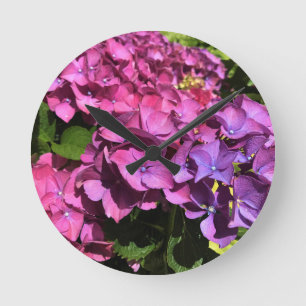 Hydrangeas Ronde Klok