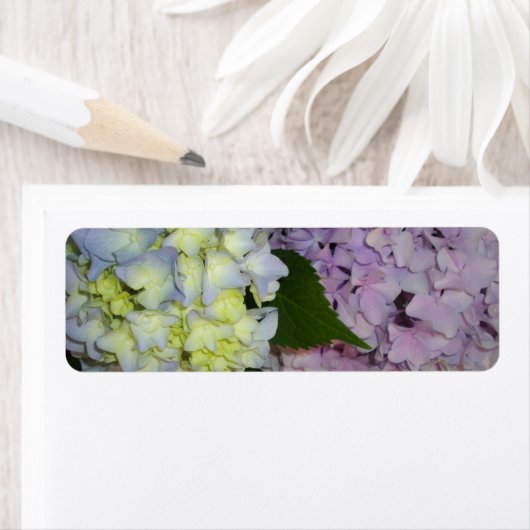 Hydrangeas roze paars blauw etiket (Insitu)