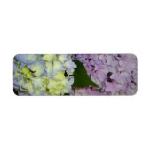 Hydrangeas roze paars blauw etiket (Voorkant)