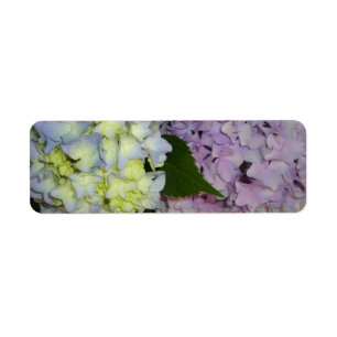 Hydrangeas roze paars blauw etiket