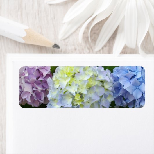 Hydrangeas roze paars blauw etiket (Insitu)