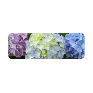 Hydrangeas roze paars blauw etiket