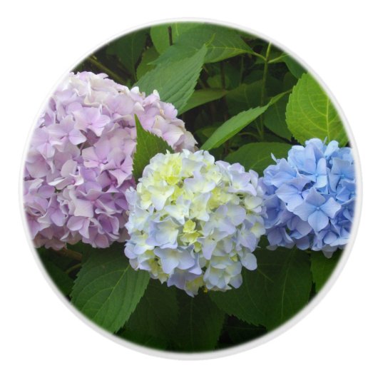 Hydrangeas roze paars blauw keramische knop (Voorkant)