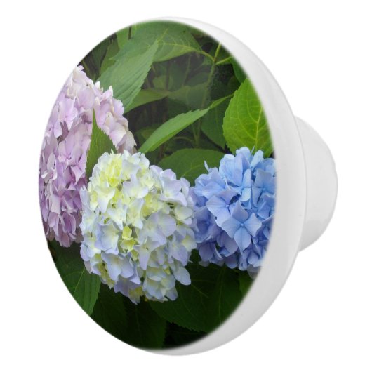 Hydrangeas roze paars blauw keramische knop (Rechts)