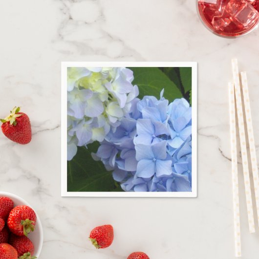 Hydrangeas Servet (Insitu)