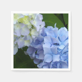 Hydrangeas Servet