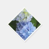 Hydrangeas Servet (Hoek)