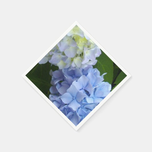 Hydrangeas Servet (Hoek)