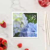 Hydrangeas Servet (Insitu)